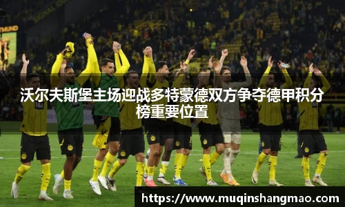 沃尔夫斯堡主场迎战多特蒙德双方争夺德甲积分榜重要位置